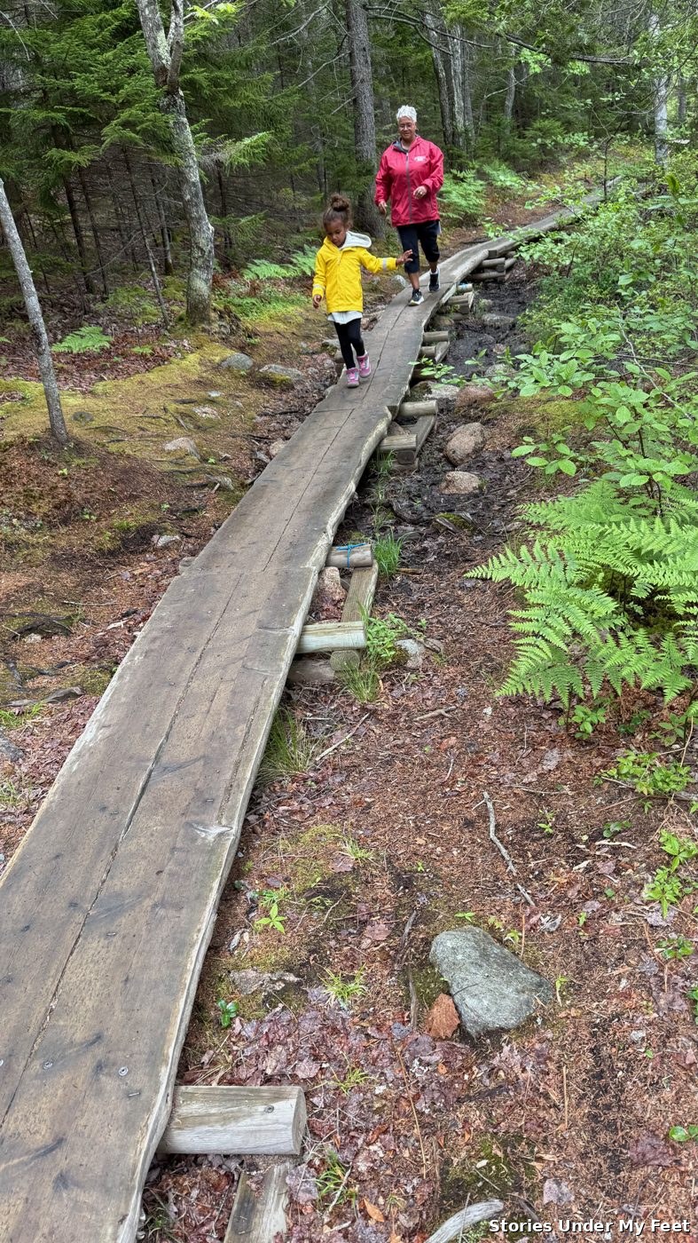 Acadia National Park