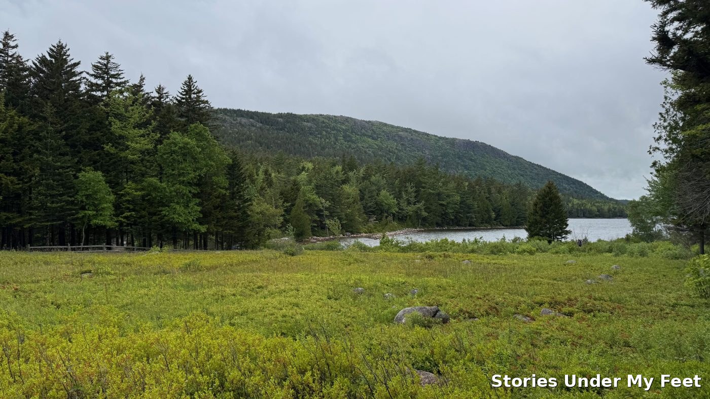 Acadia National Park